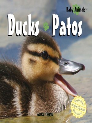 cover image of Ducks / Patos
